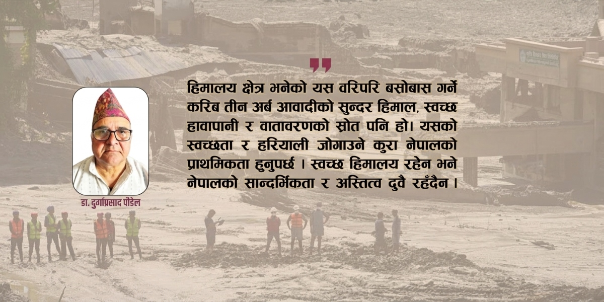 मुलुक बचाउने विकल्प