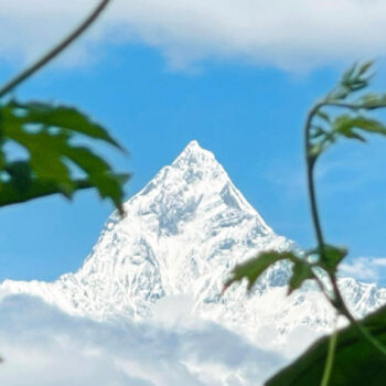 सेताम्मे माछापुच्छ्रे हिमाल