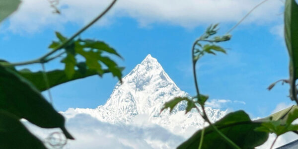 सेताम्मे माछापुच्छ्रे हिमाल
