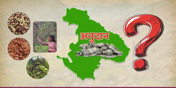 अर्गानिक कर्णाली : बजेटमा सीमित, उपलब्धि छैन