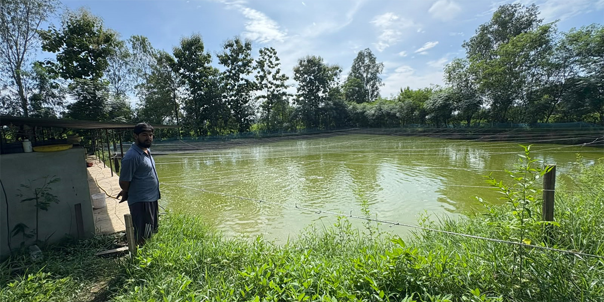 १२ हजारबाट सुरु गरेको माछापालनबाट वार्षिक ६५ लाख कारोबार