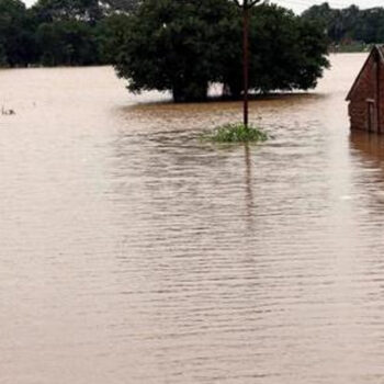 पूर्वी भारतमा बाढीका कारण लाखौँ विस्थापित