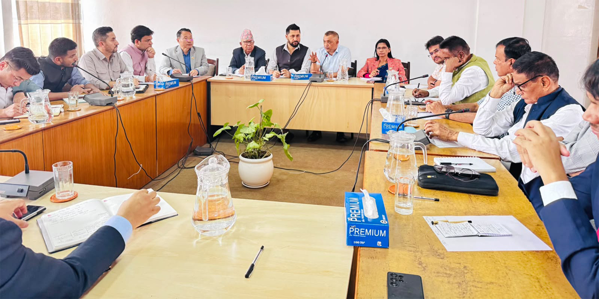रविले बोलाएको सर्वदलीय बैठकले के गर्‍यो निर्णय?