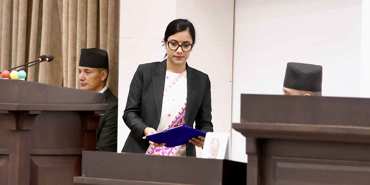 प्रतिनिधिसभाबाट ‘राष्ट्रिय सेवा दल विधेयक पारित