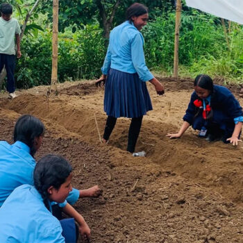 दिवाखाजा र छात्रावासका लागि विद्यार्थीले सुरु गरे तरकारी खेती