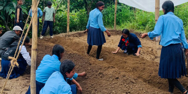 दिवाखाजा र छात्रावासका लागि विद्यार्थीले सुरु गरे तरकारी खेती