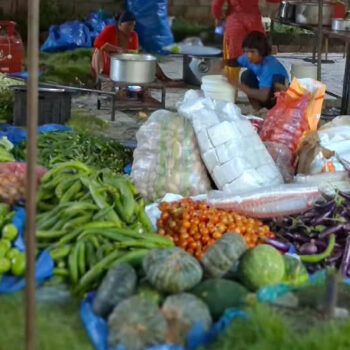 बाढीबाट प्रभावित नागरिकका लागि १६ हजार ६ सय किलो तरकारी पठाइयो