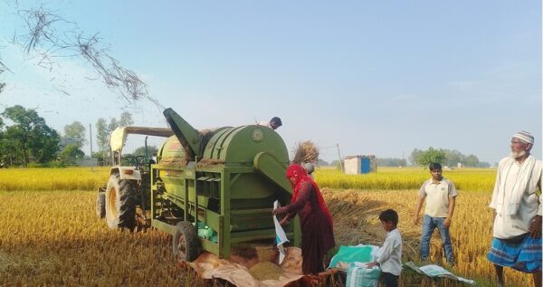 सात वर्षदेखि ‘थ्रेसर मेसिन’सञ्चालन गरेर गाउँमै स्वरोजगार