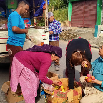 जुम्लाको स्याउ स्याङ्जाका घरघरमा