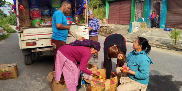 जुम्लाको स्याउ स्याङ्जाका घरघरमा