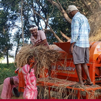 कामदार अभावपछि धान झार्न थ्रेसरको प्रयोग बढ्दै