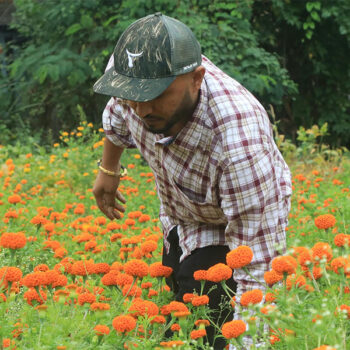 स्वदेशमै केही गर्ने अठोटसहित फूलखेतीमा तनहुँका दुई युवा