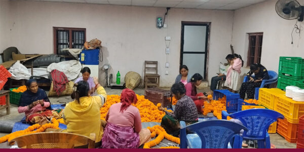 तिहारमा दश लाखको सयपत्री बेच्ने आँधीमूलका महिलाको लक्ष्य