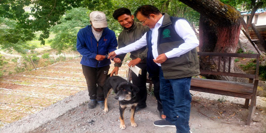 शुक्लाफाँटाको बन्साहमा बहुलाहा कुकुरको आतंक